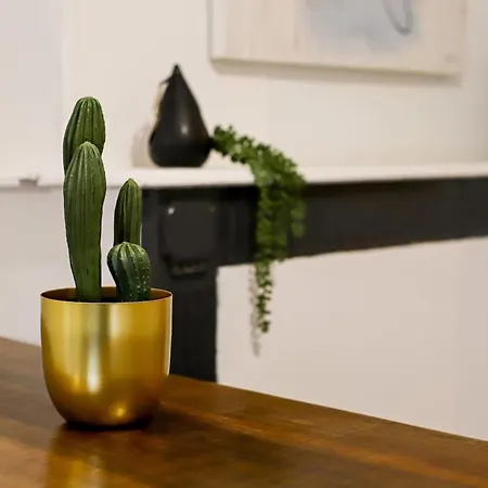 Parga 2 Terrasse Clim - Capitole - Bord Garonne 아파트 *